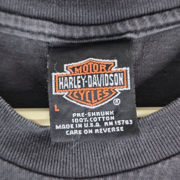 Vintage 2000 Harley Davidson T-Shirt Mens L Anderson South Carolina Timms - Picture 8 of 10